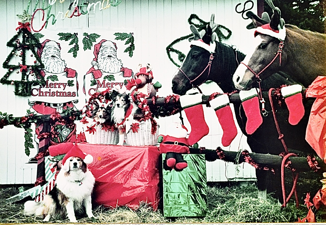 Christmas Dogs and Horses.jpeg