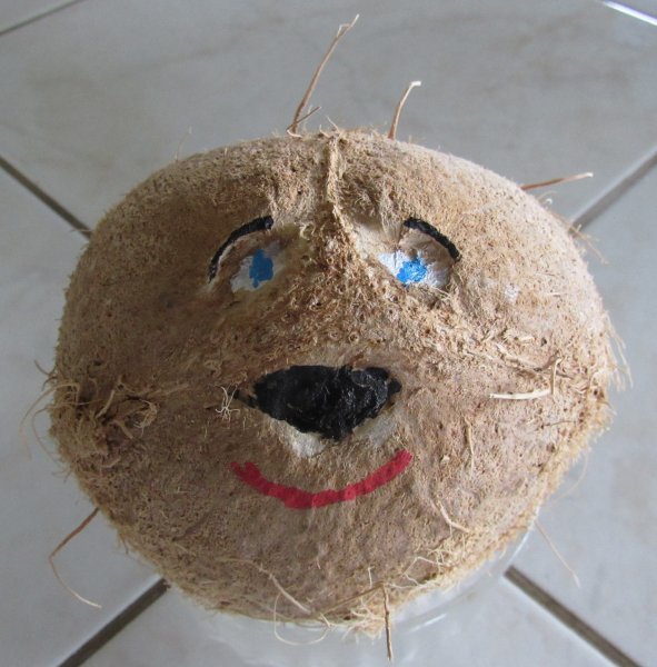 coconut face.jpg