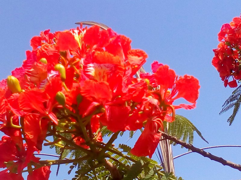 colors10.jpg