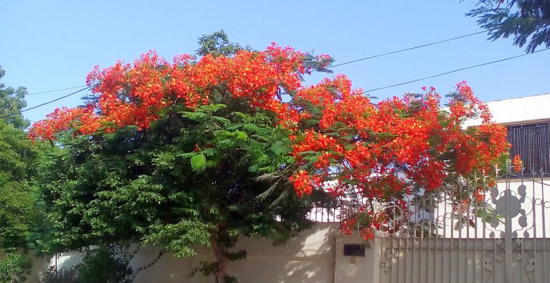 colors111.jpg
