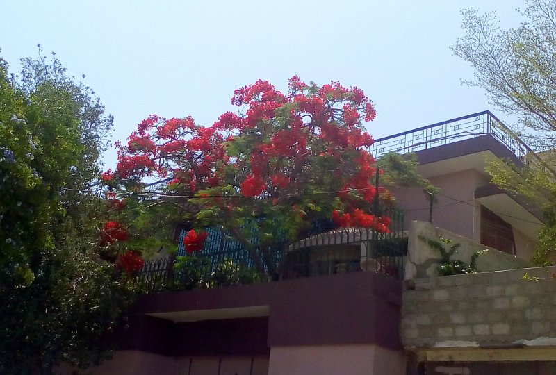 colors12.jpg