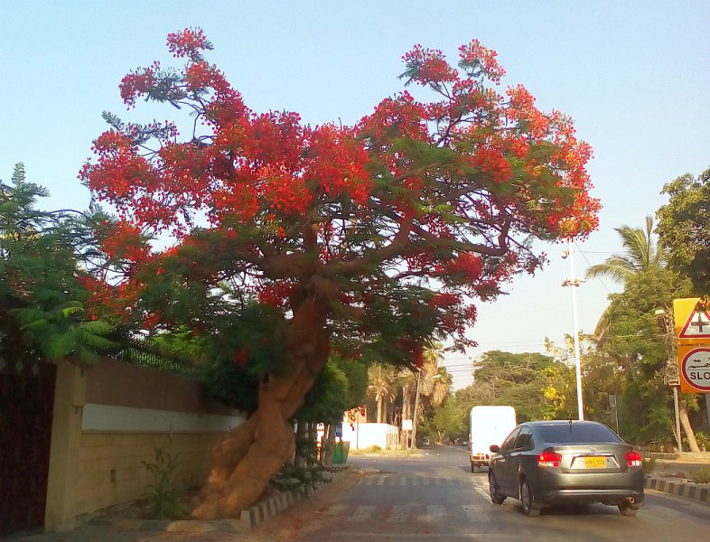 colors13.jpg