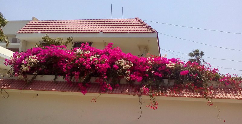 colors15.jpg