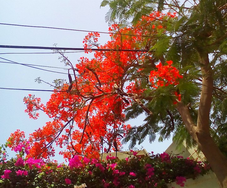 colors9.jpg