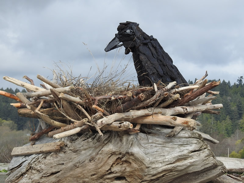 crow.jpg