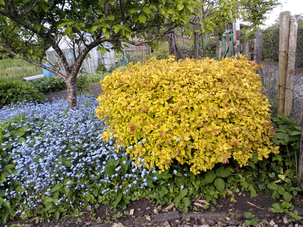 D29A7745-318B-4B76-97F8-34D526F70E3E.jpeg