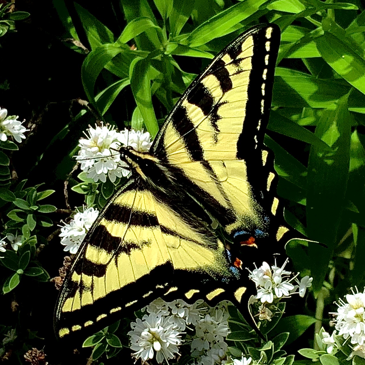 D743041F-23A4-49B5-B922-62FDAA2D9763.jpeg