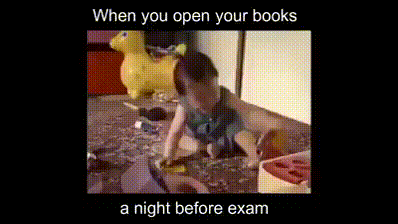 daily_gifdump_4925_06.gif