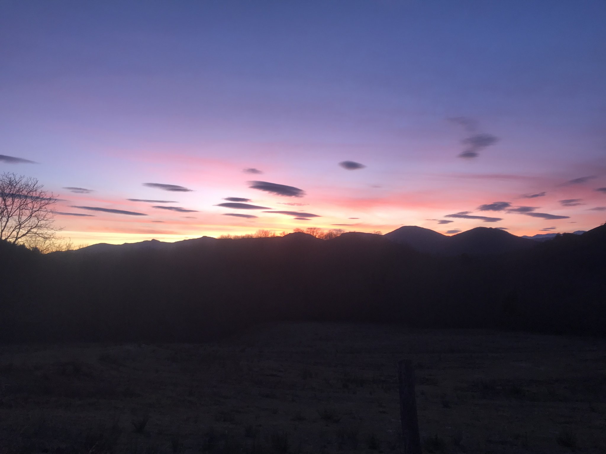 DE6F7207-7E97-47CA-A8D7-7998D498E68F.jpeg