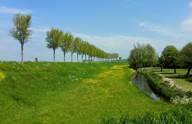 dijk02b.jpg