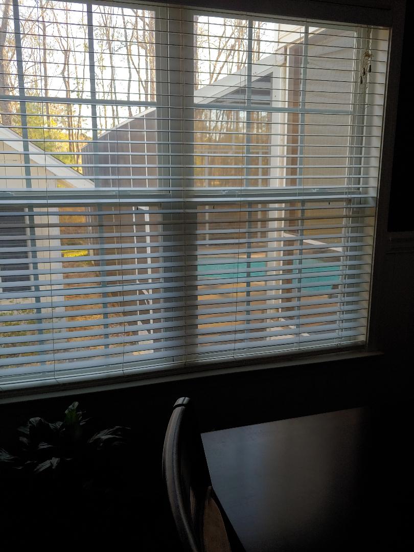 Dining Room to Pool View.jpg