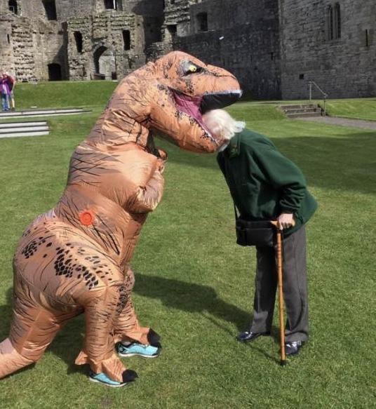 dino.jpeg