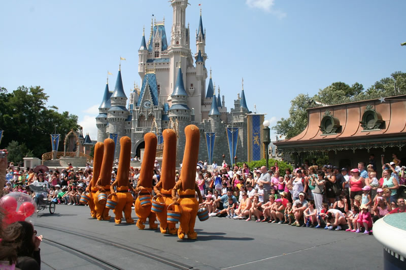 disney.jpg