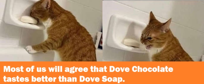 dovesoap.jpg