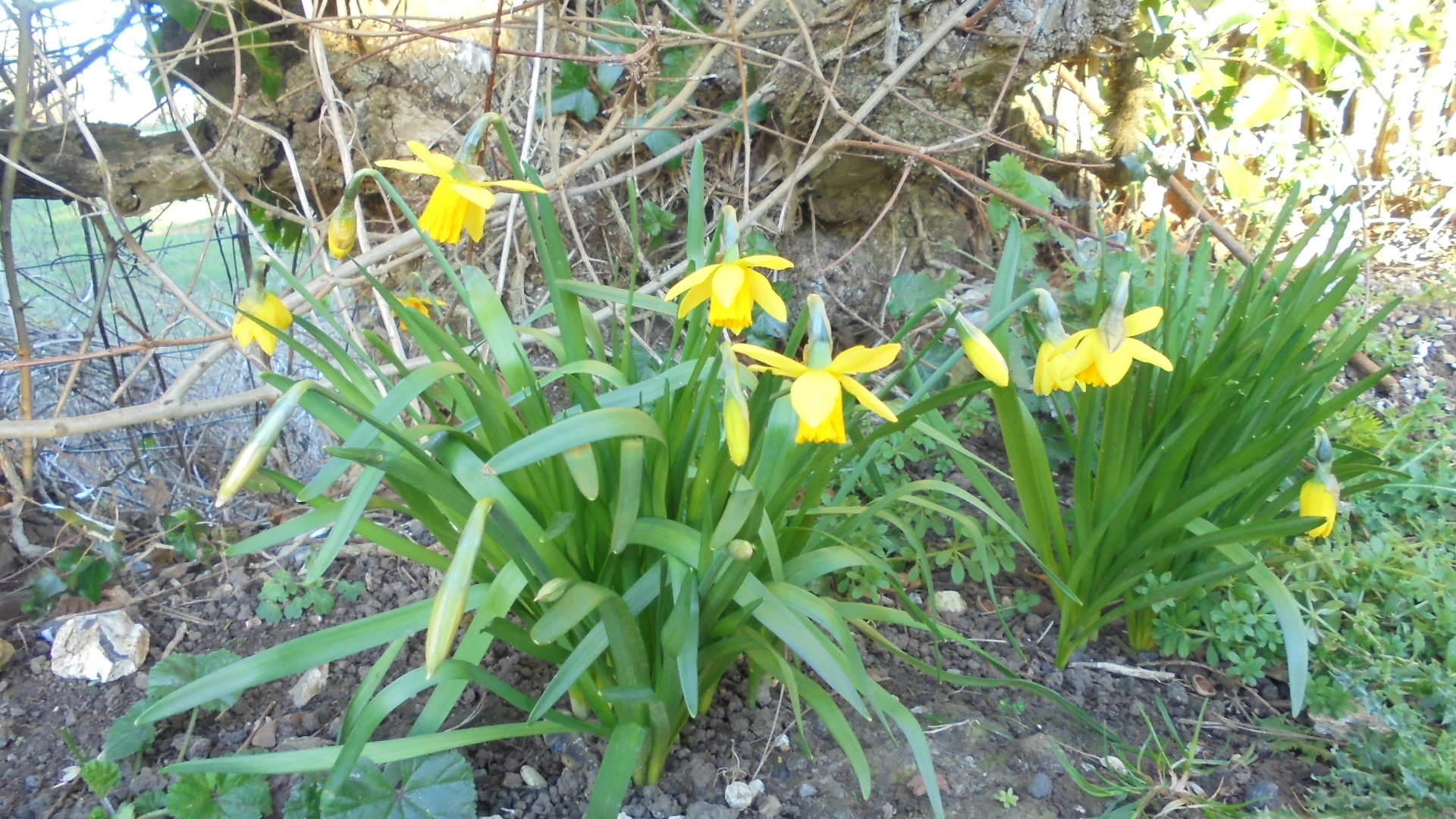 DSC00303.JPG