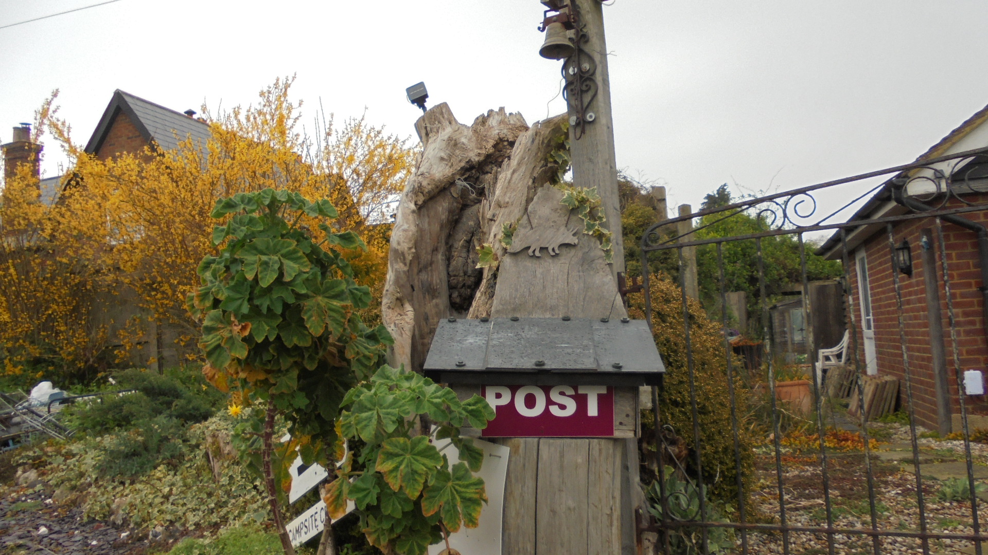 DSC00563.JPG