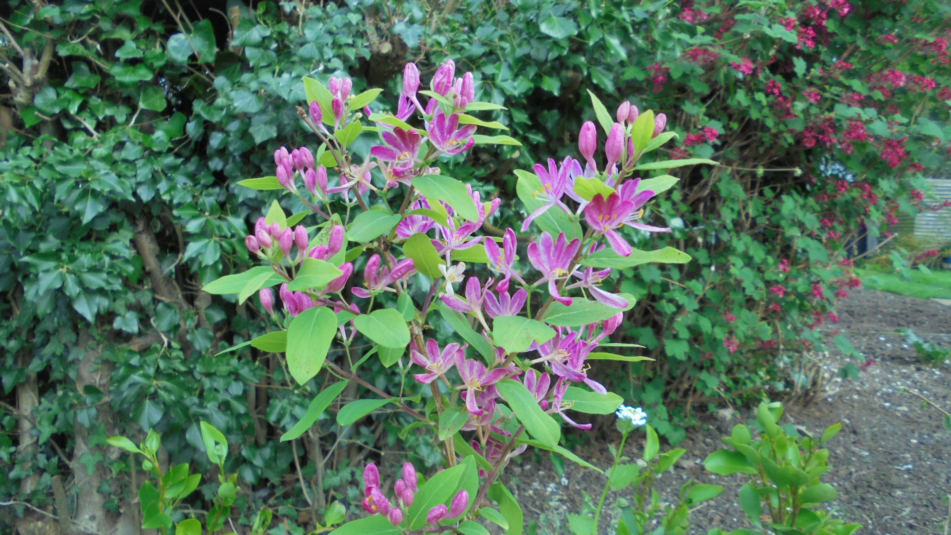 DSC00720.JPG