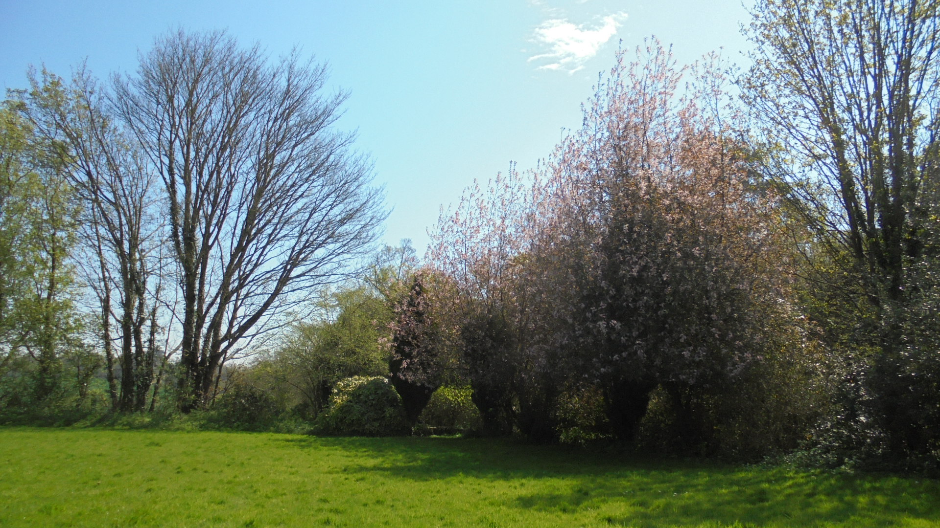 DSC00752.JPG