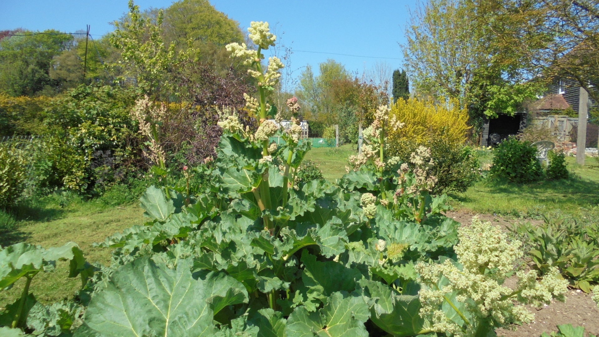 DSC00800.JPG