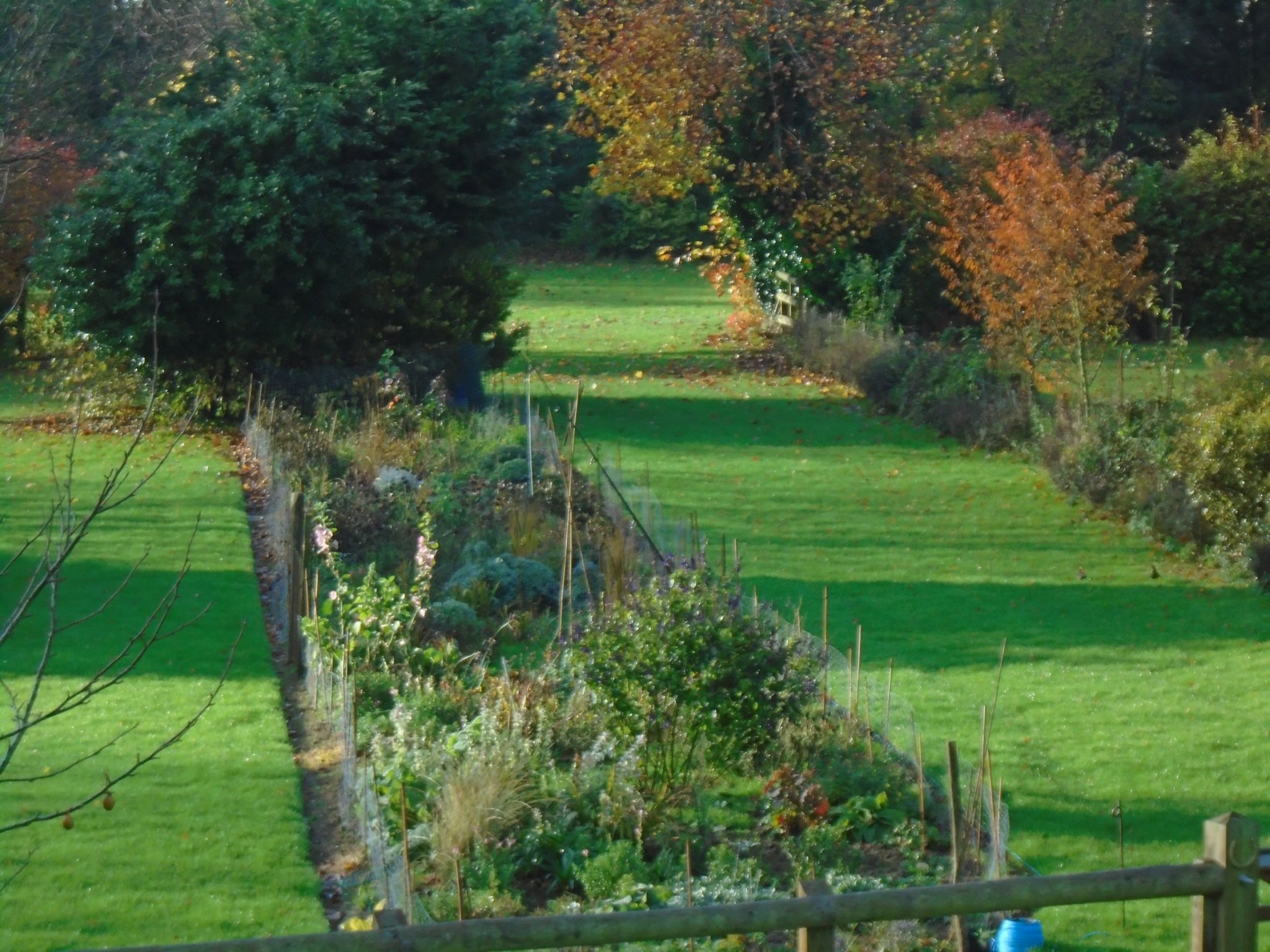 DSC00827A.JPG