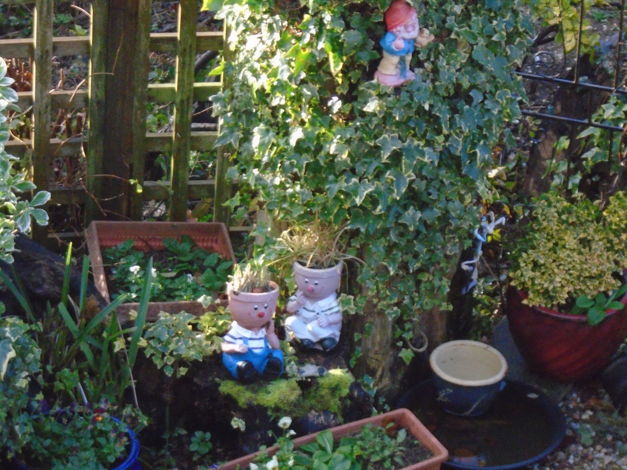 DSC00828A.JPG