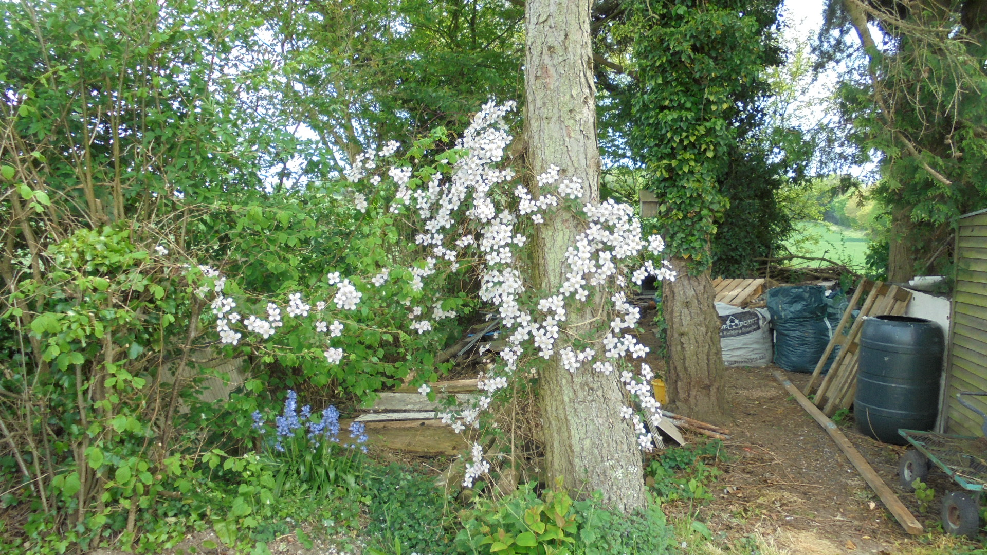 DSC00966.JPG