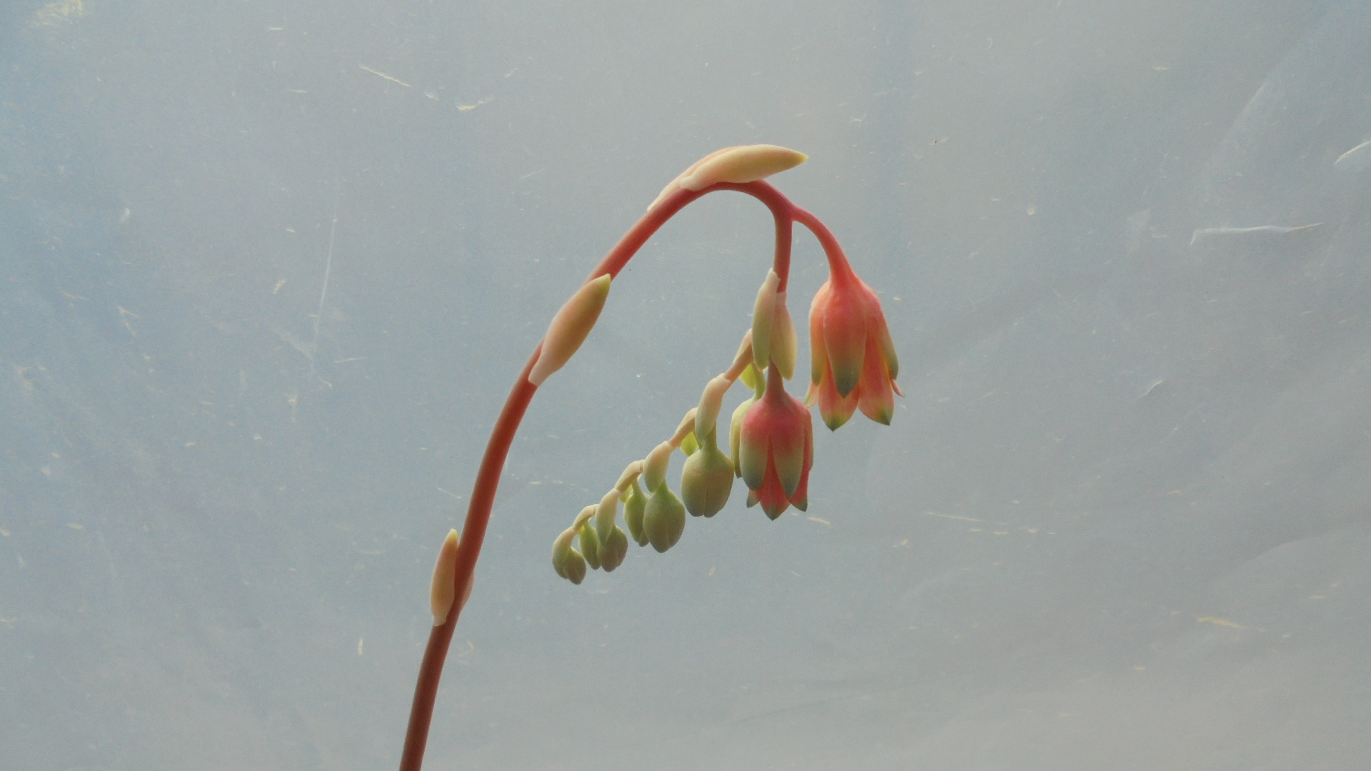 DSC01101.JPG