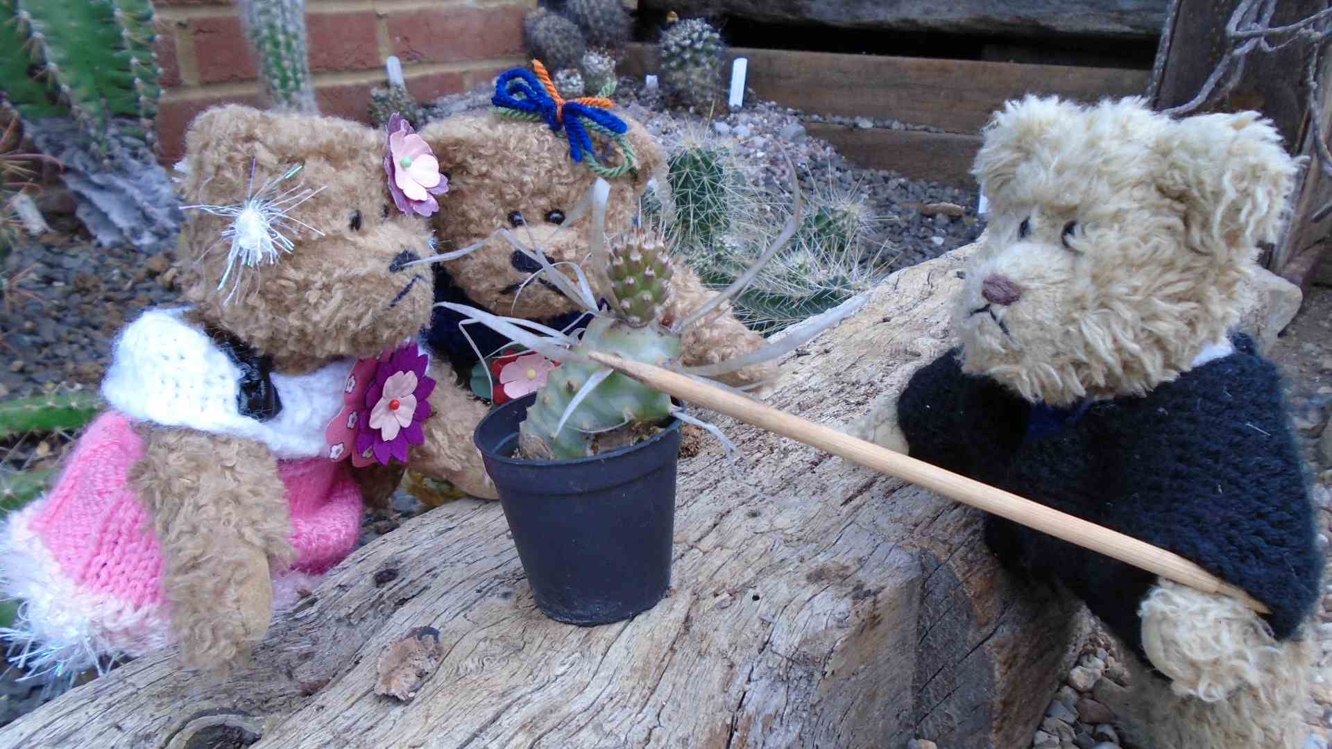 DSC01384.jpg