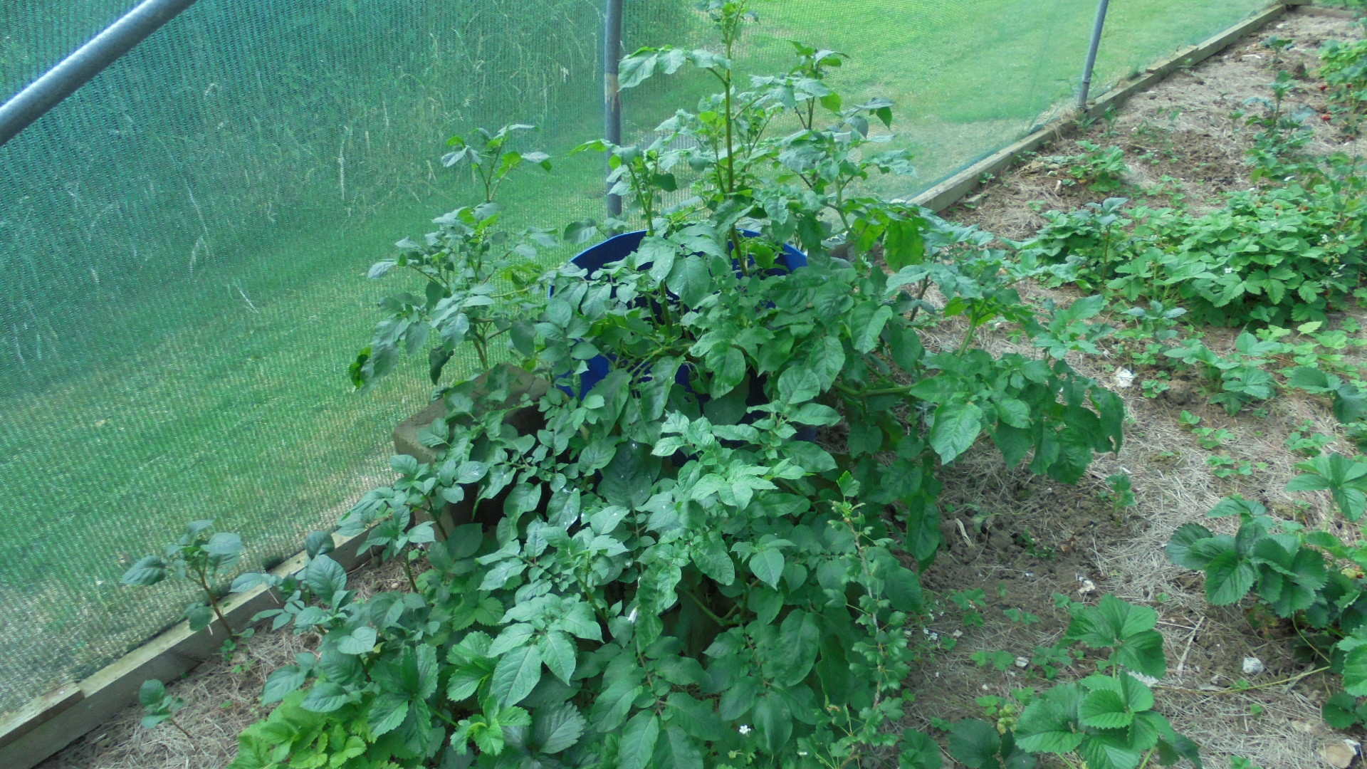 DSC01654.JPG