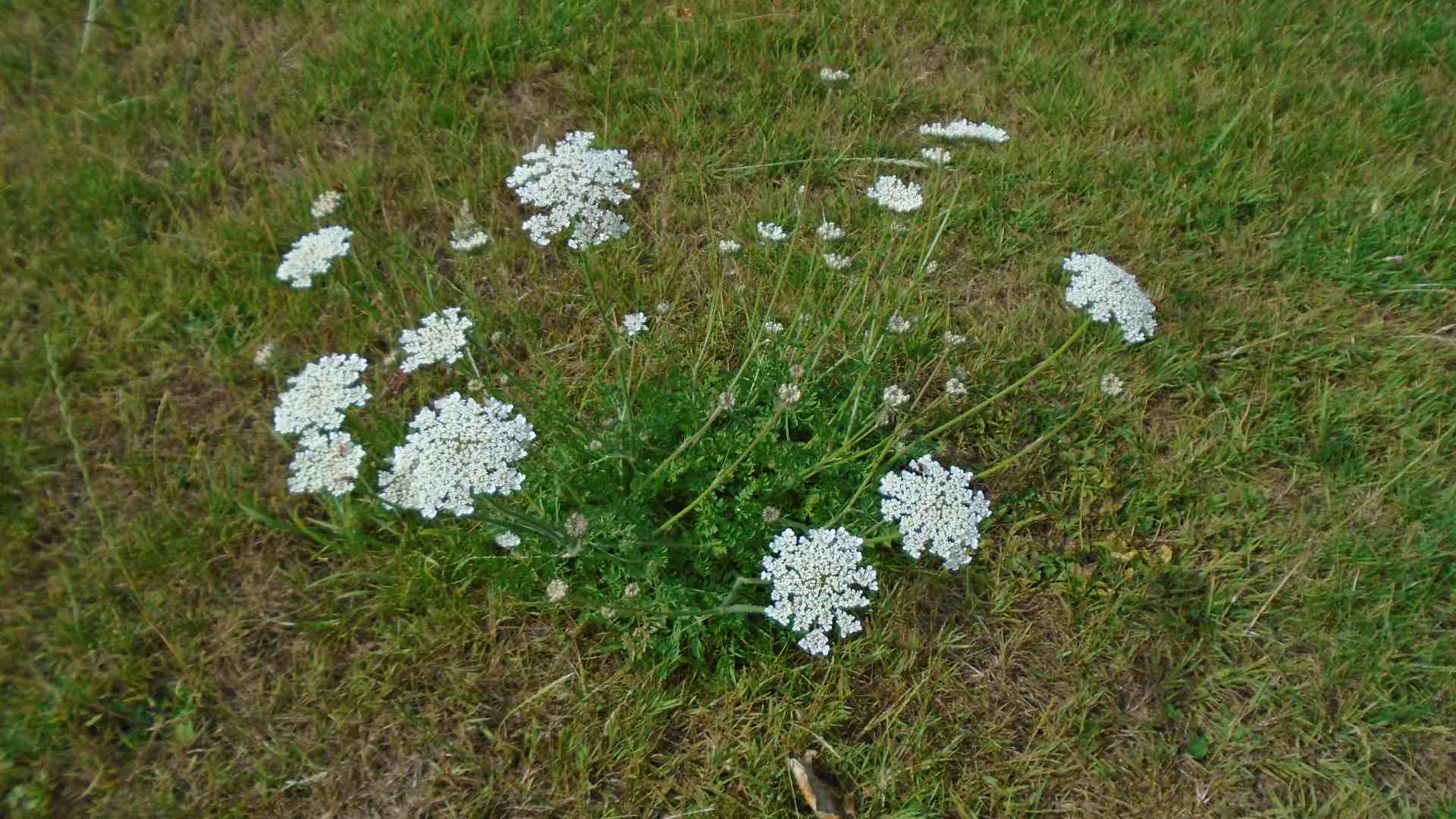 DSC01657.jpg