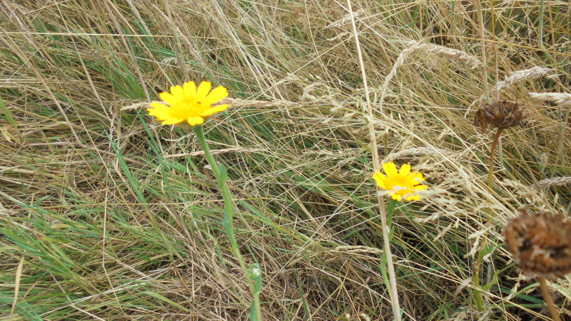 DSC01886.JPG