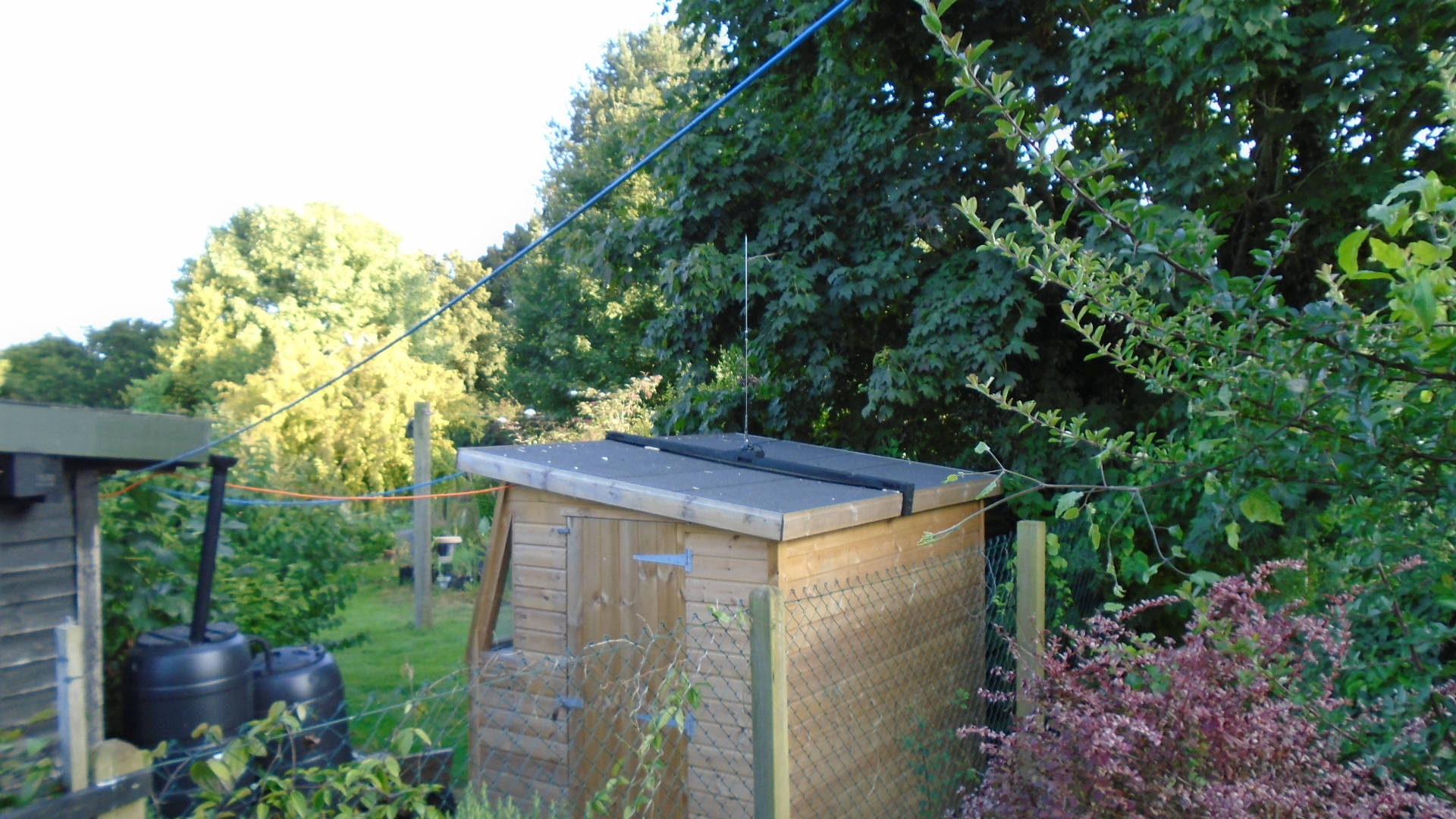 DSC02013.JPG