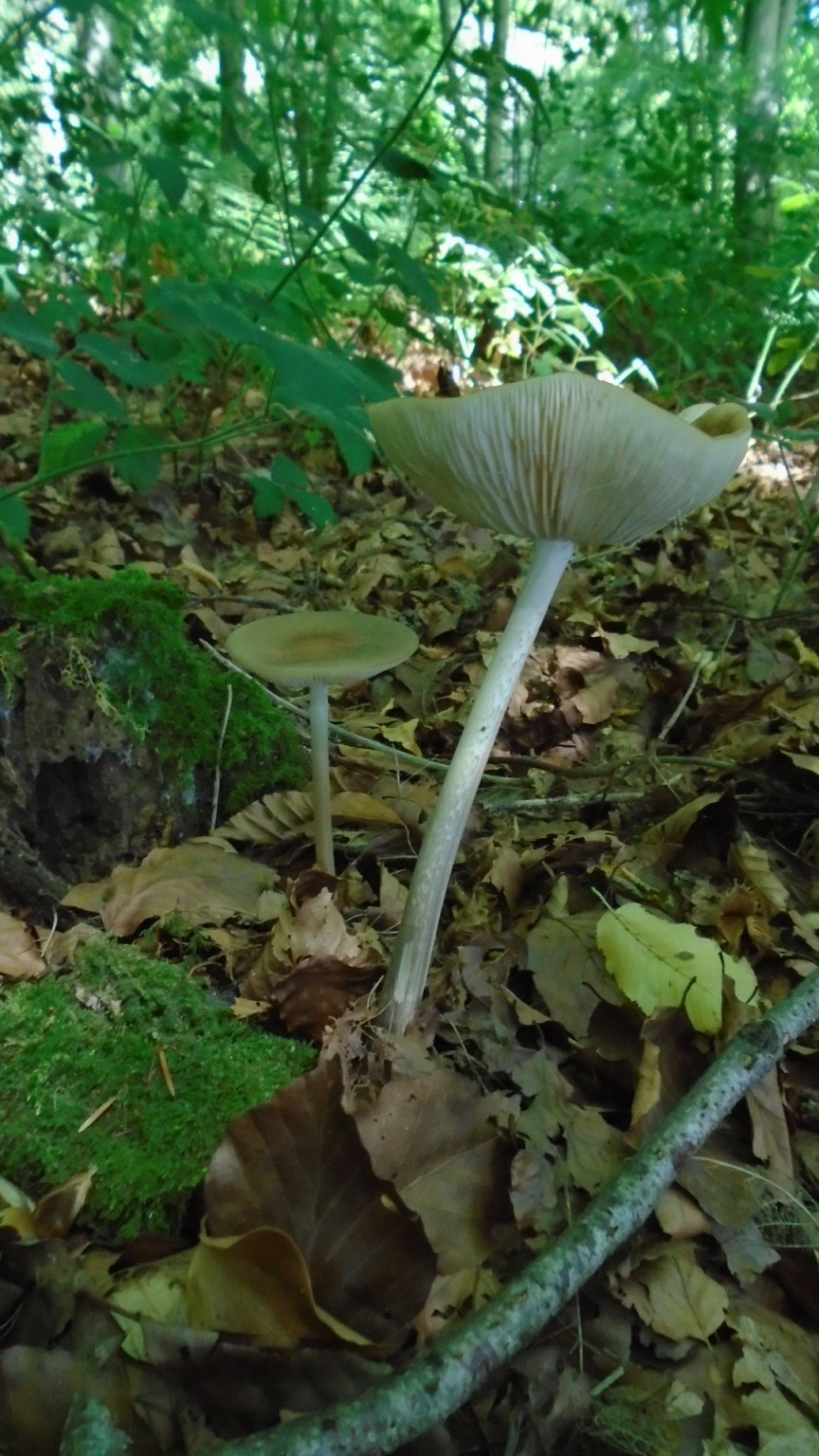 DSC02023.JPG