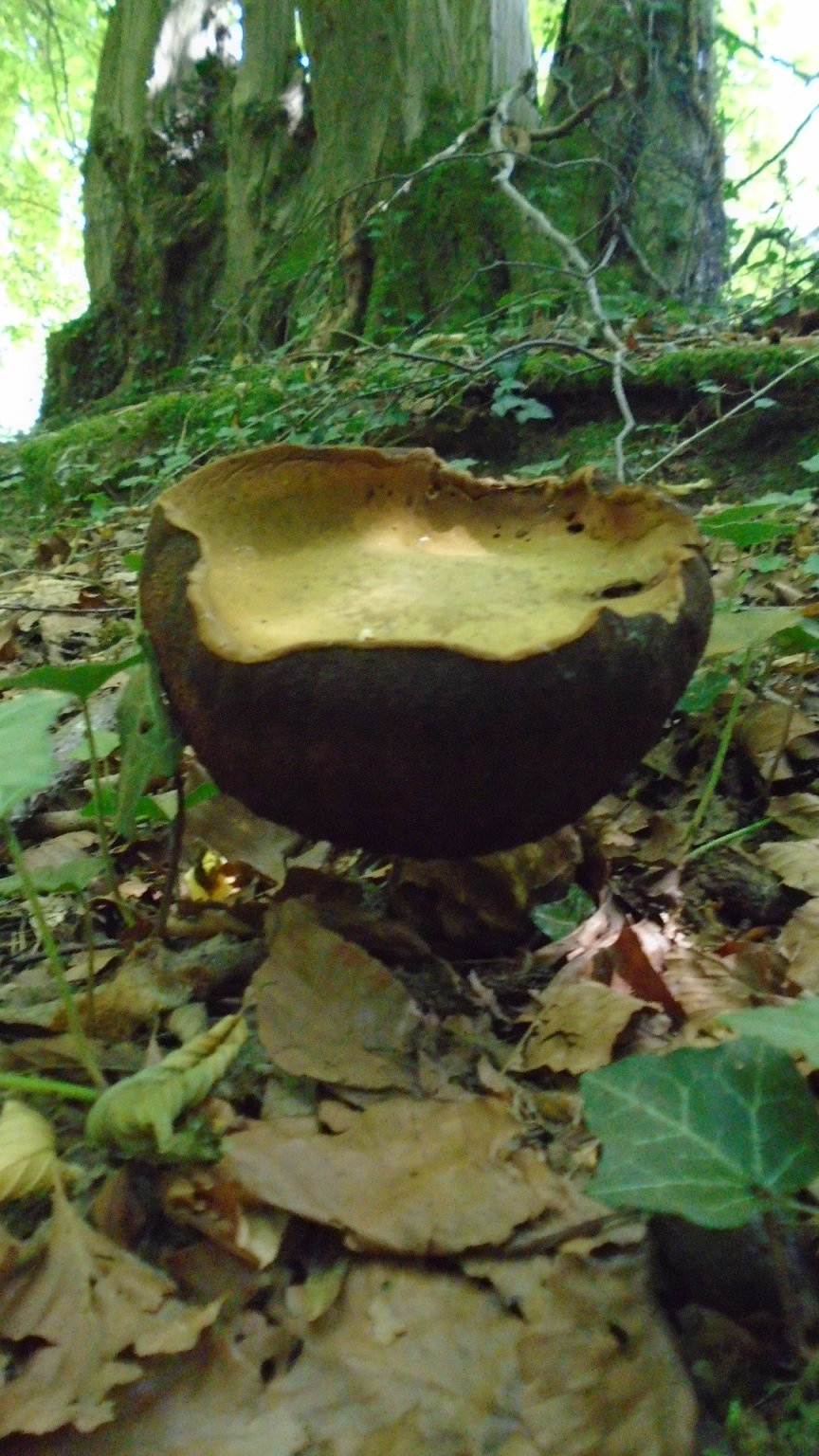 DSC02024.JPG