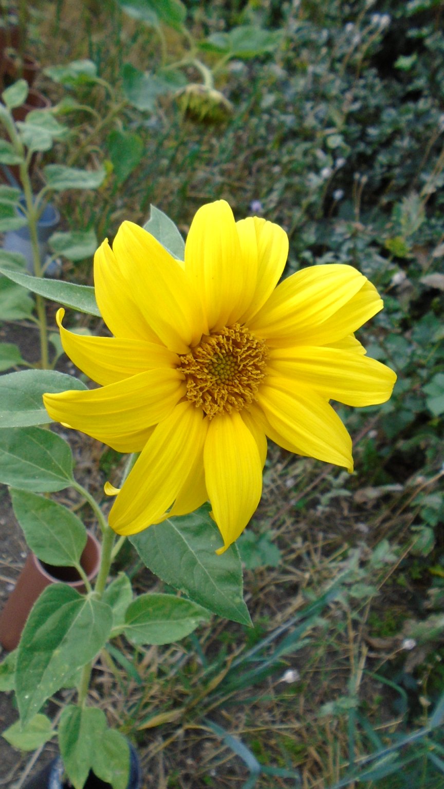 DSC02034.JPG