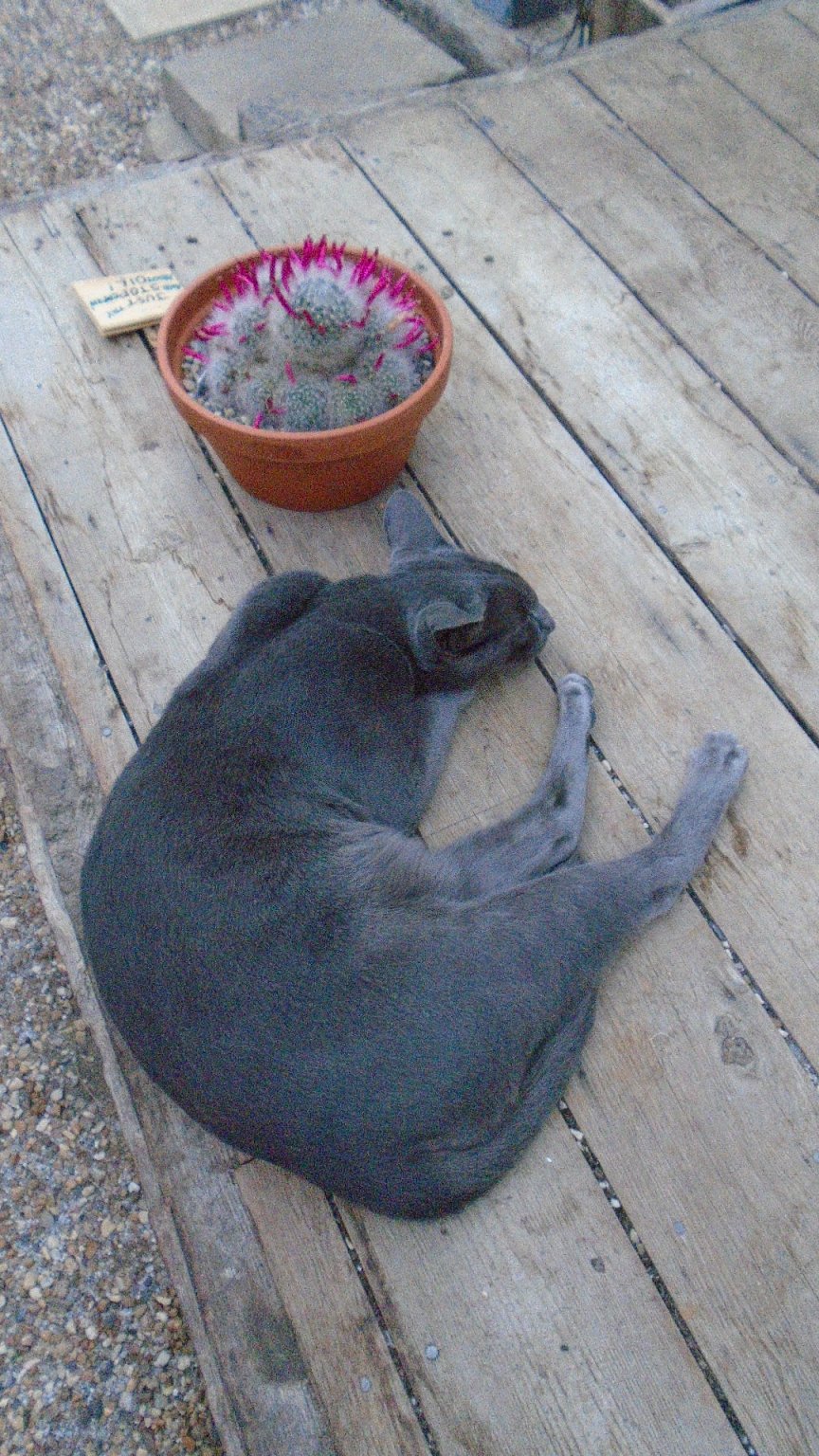 DSC02091.JPG