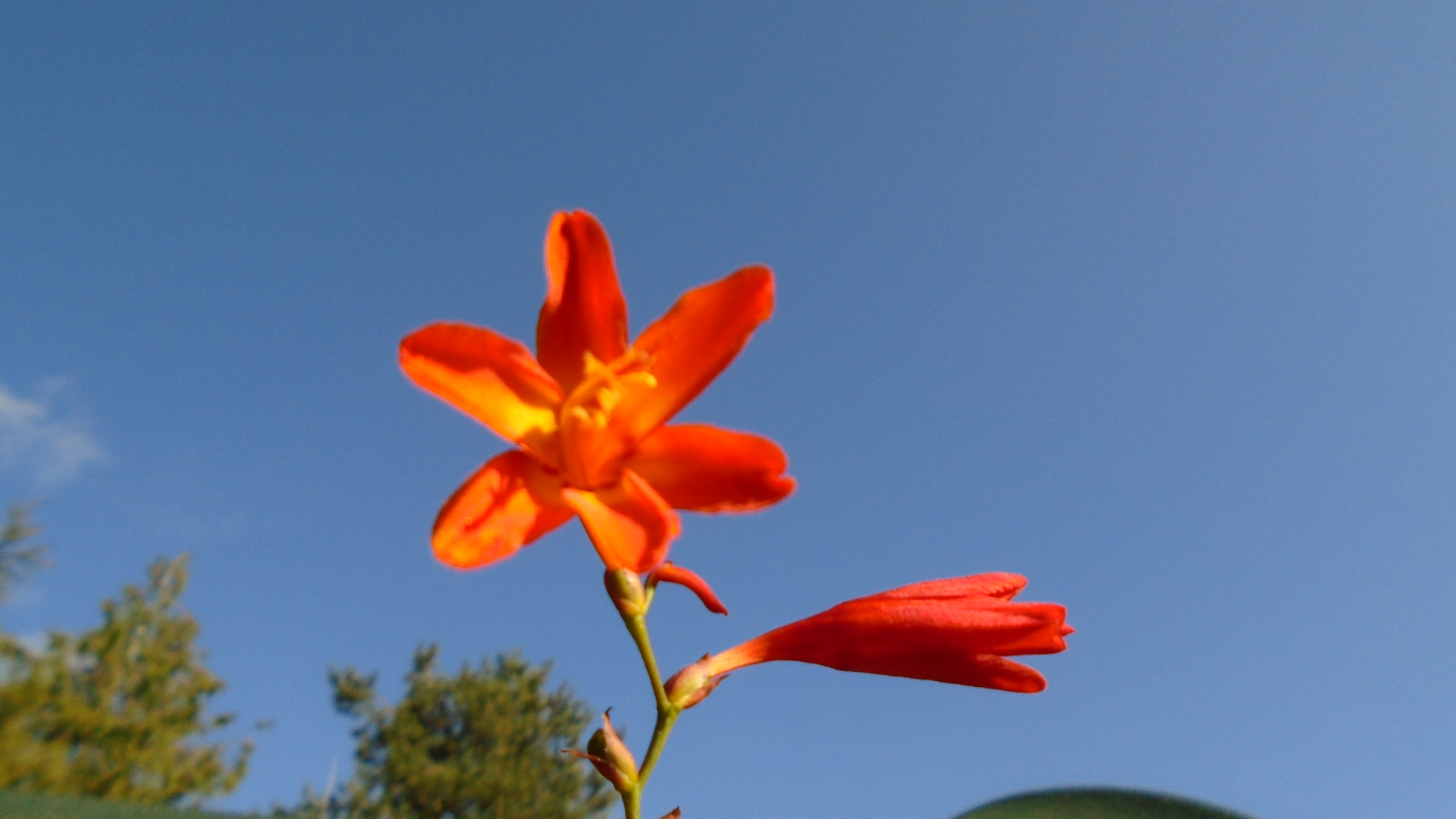 DSC02093.JPG