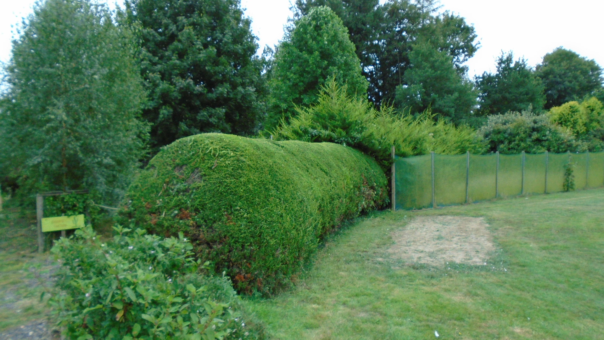 DSC02104.JPG