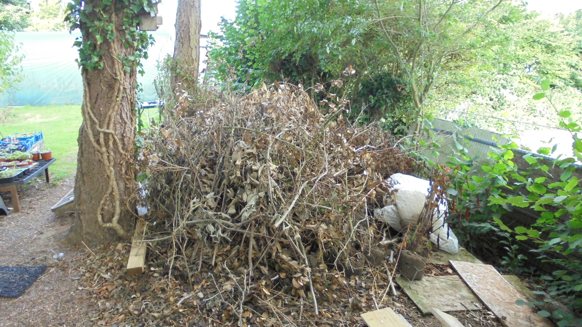 DSC02315.JPG