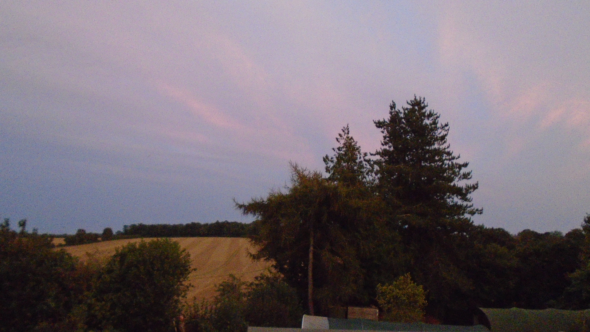 DSC02350.JPG