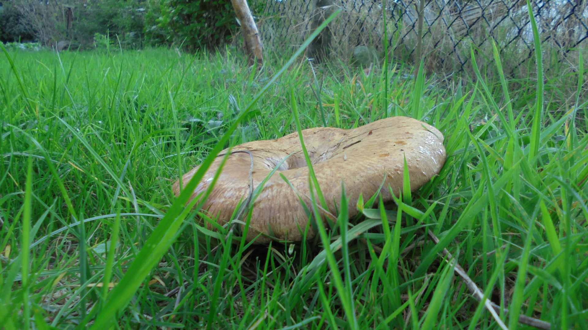 DSC02425.JPG