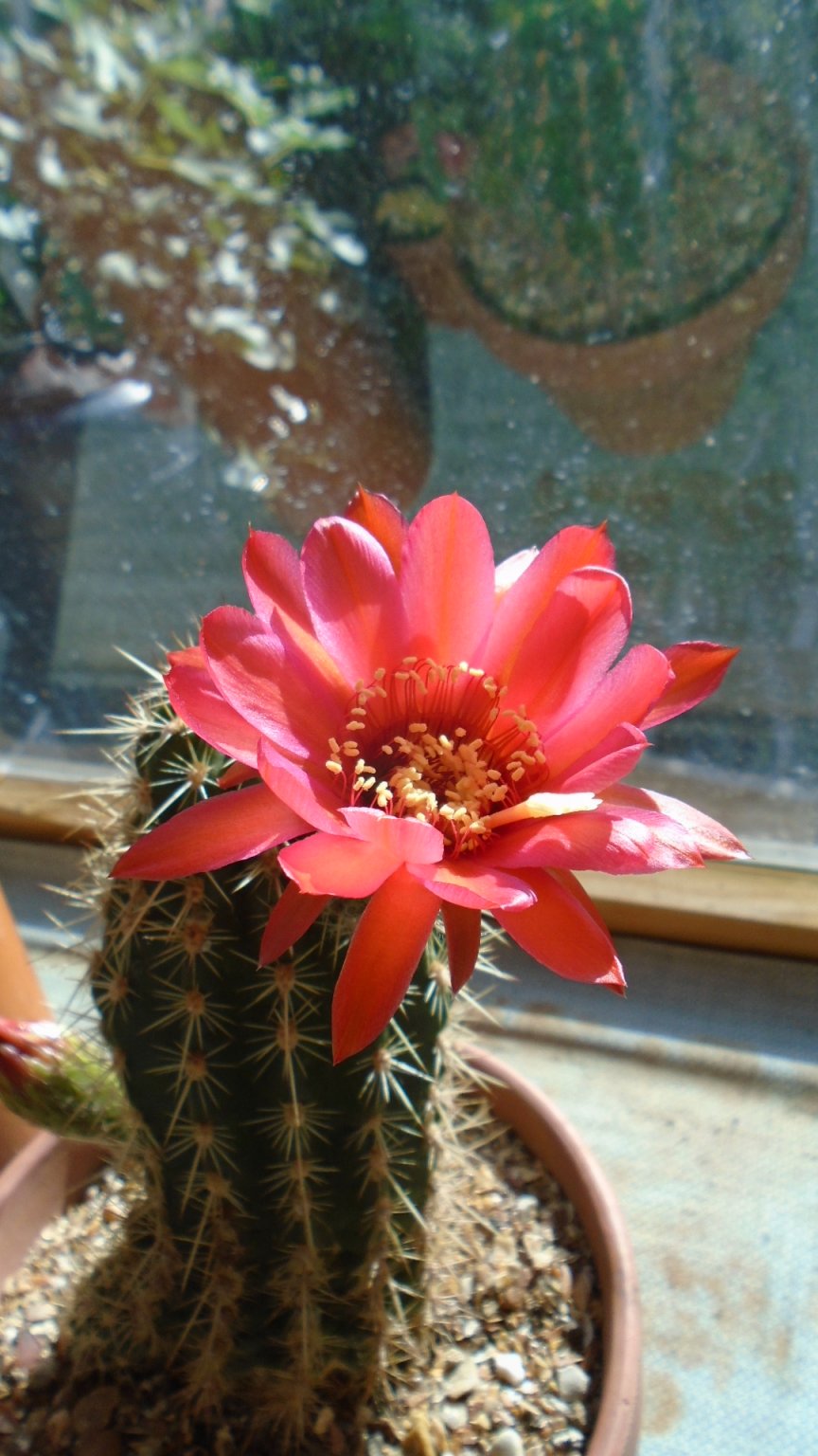 DSC02484.JPG
