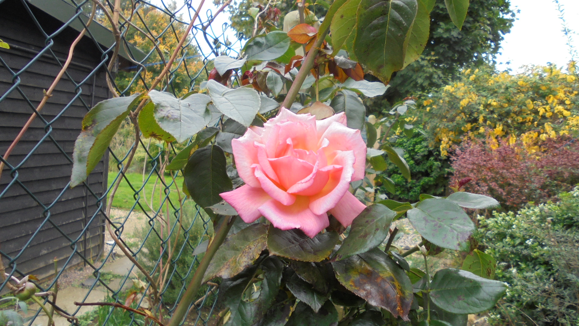 DSC02512.JPG