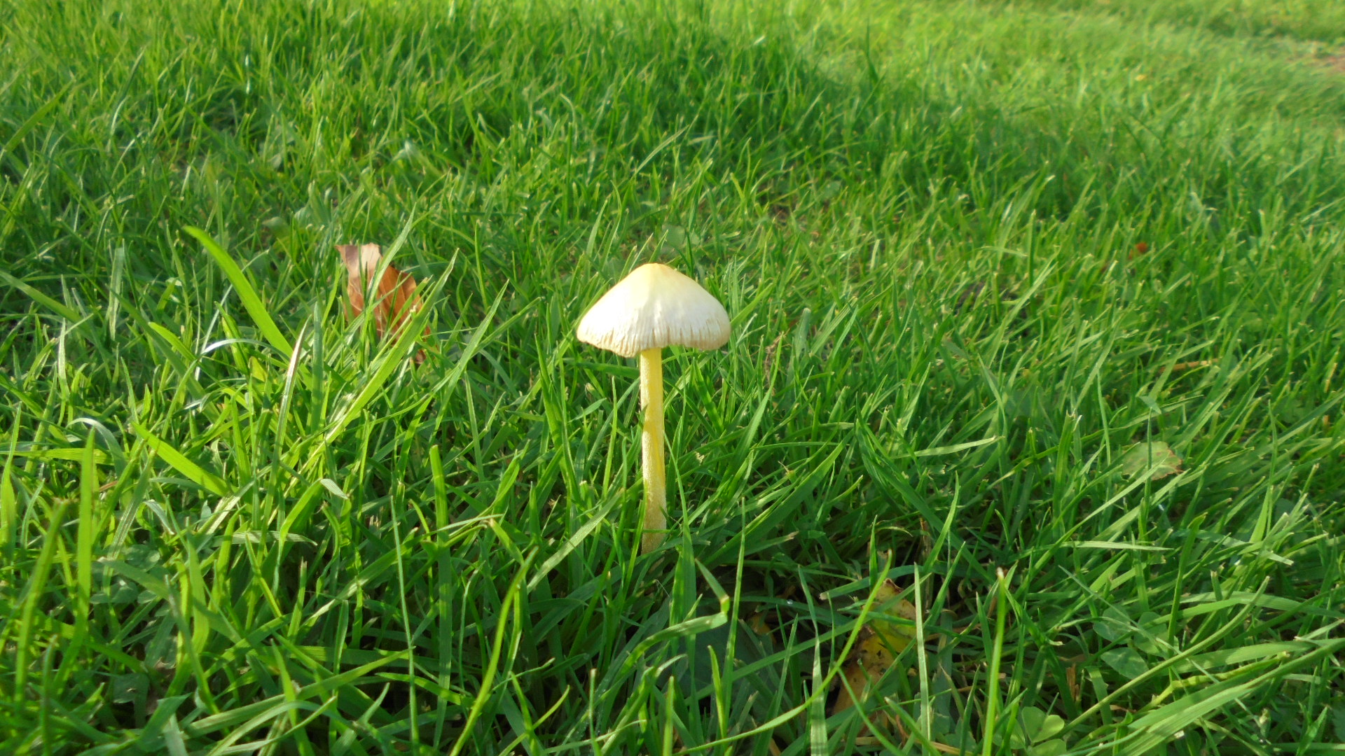 DSC02587.JPG