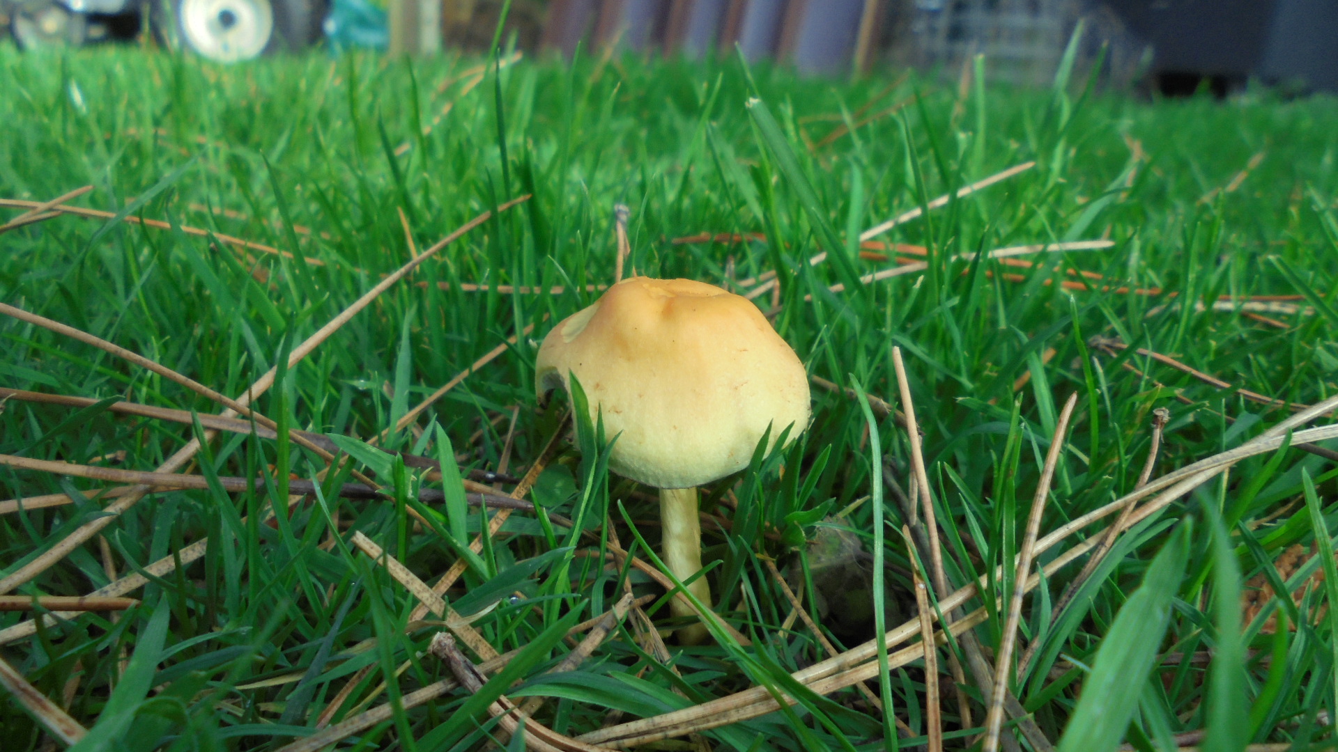 DSC02589.JPG