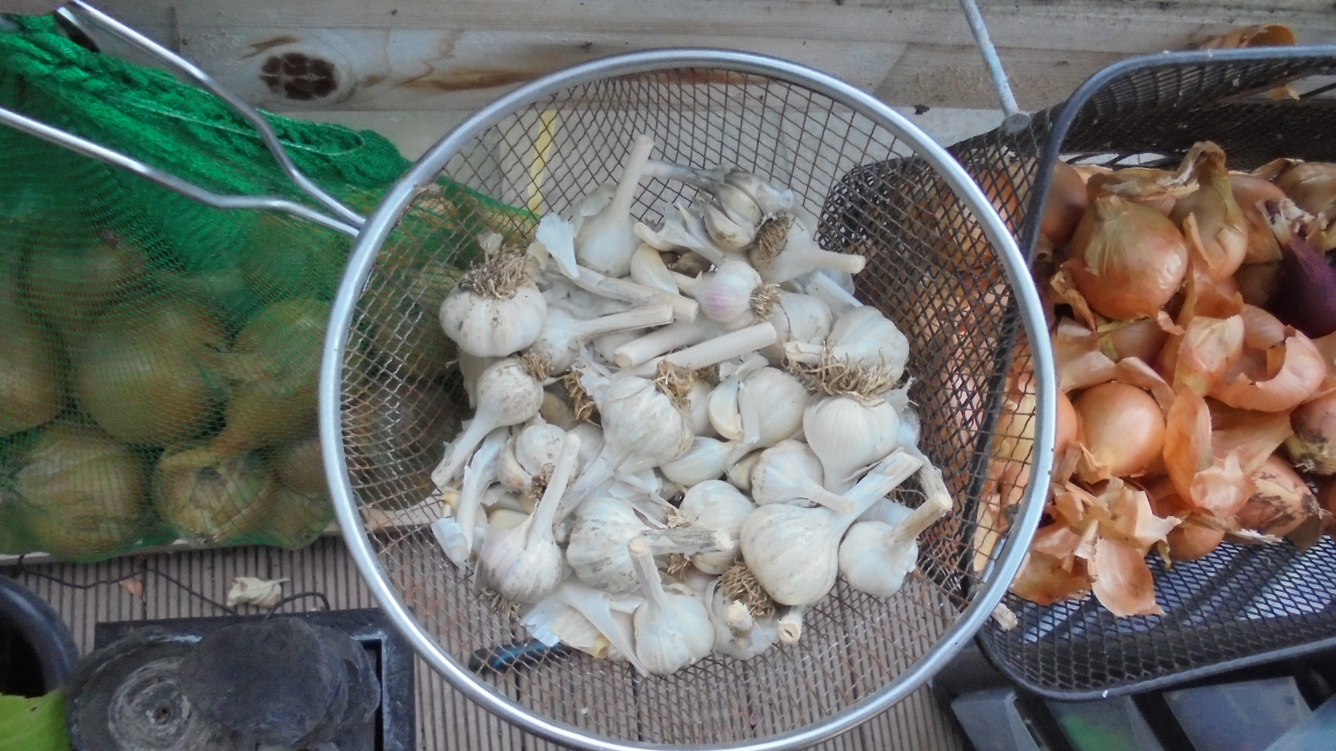 DSC02597.JPG