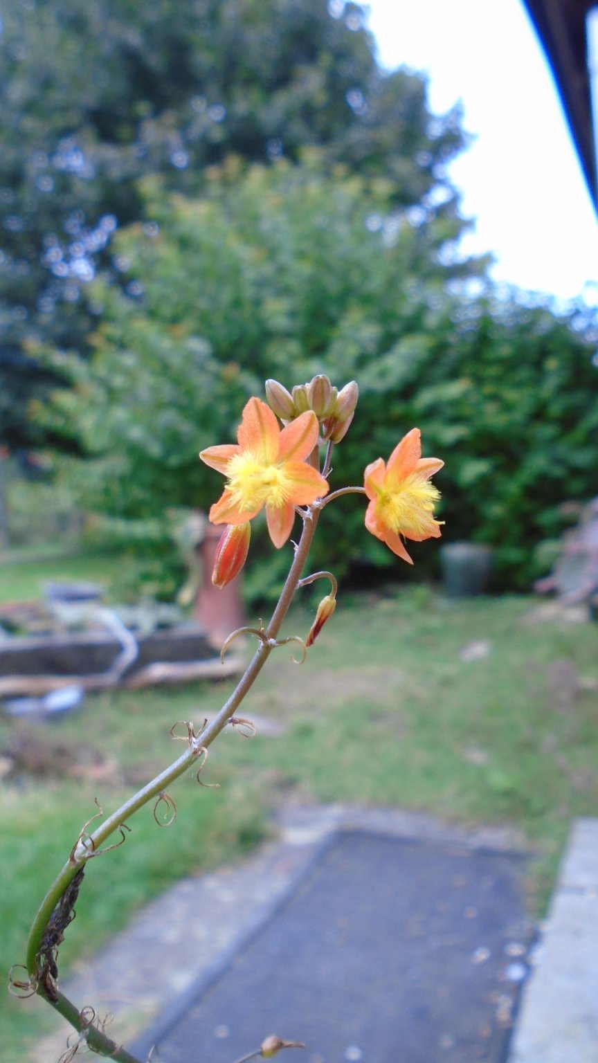 DSC02630.JPG