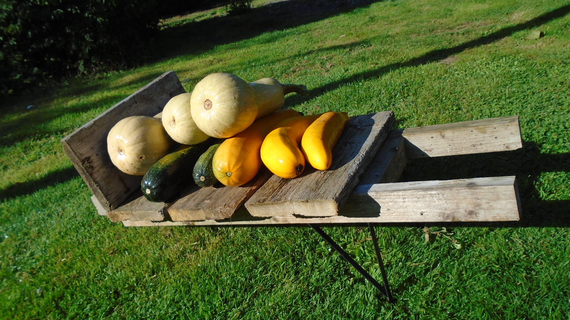 DSC02679.JPG