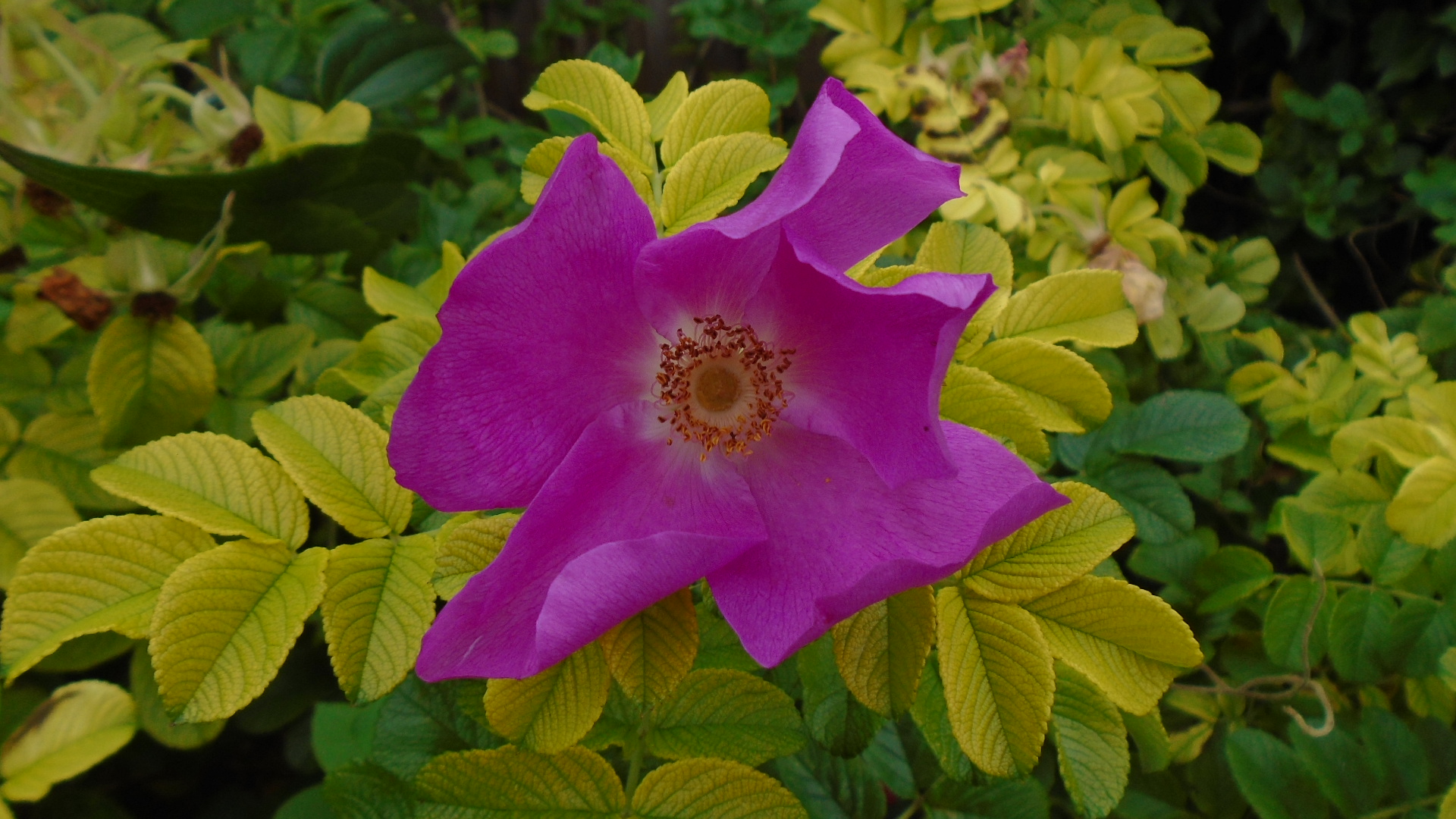 DSC02696.JPG