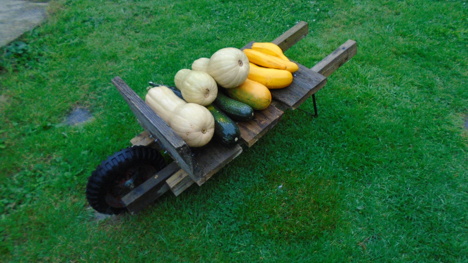 DSC02707.JPG